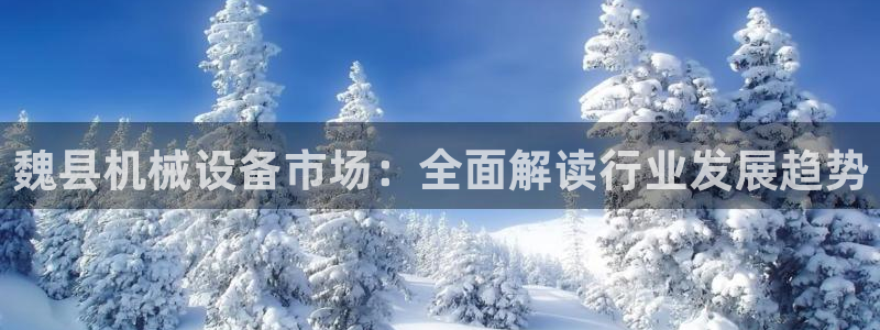 杏盛平台主管
