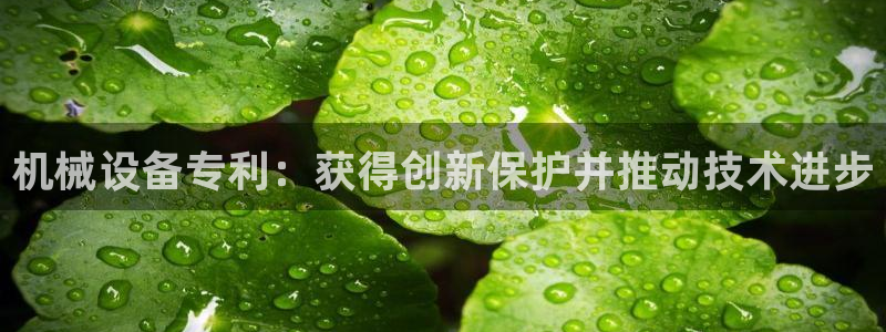杏盛平台官网