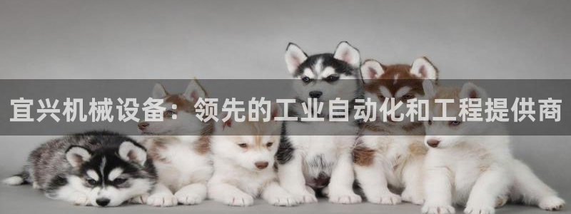 杏盛开户地址