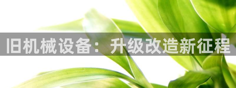 杏盛平台登录