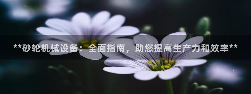 杏盛平台主管
