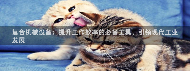 杏盛平台登录地址