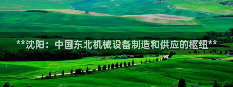 杏盛代理
