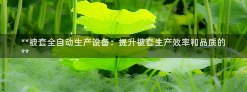 杏盛注册登录