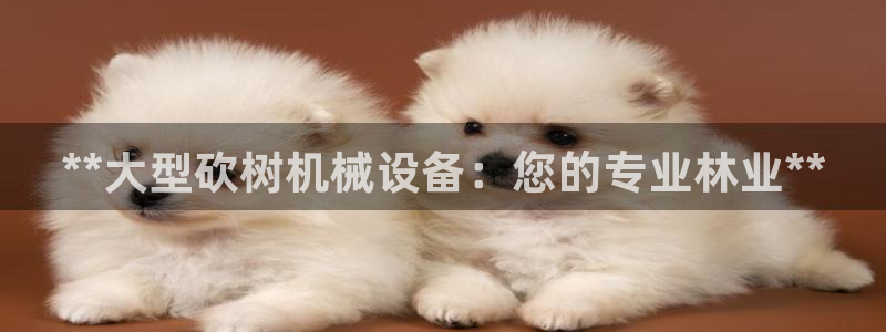 杏盛平台官网注册