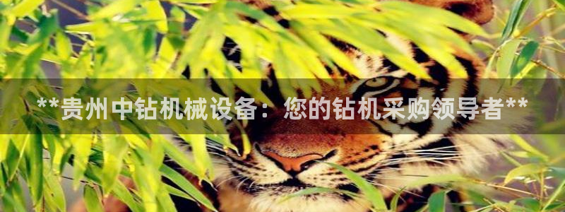 杏盛娱乐代理