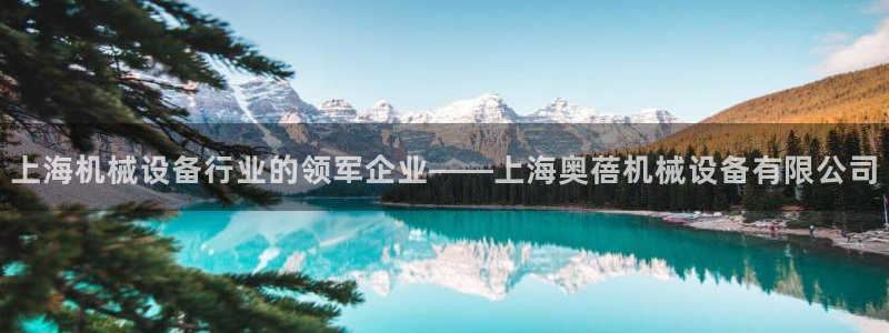 杏盛平台登录地址