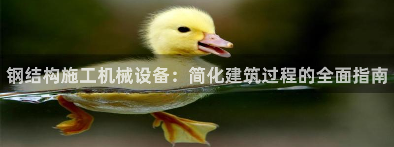 杏盛娱乐代理