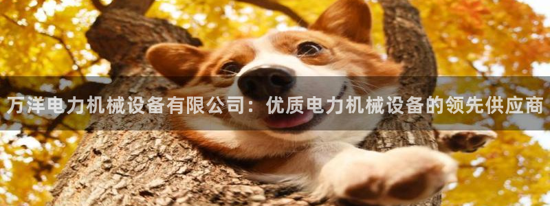 杏盛开户地址