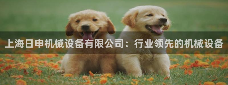 杏盛官网