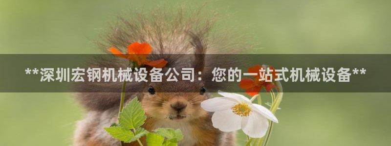 杏盛平台开户 贴吧