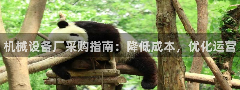 杏盛平台登陆地址