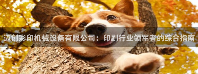 杏盛平台登陆