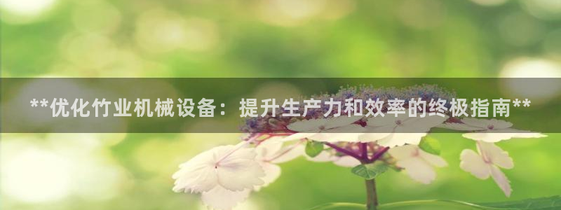 杏盛东24 35 53：**优化竹业机械设备：提升生产力和效率的终极指南**