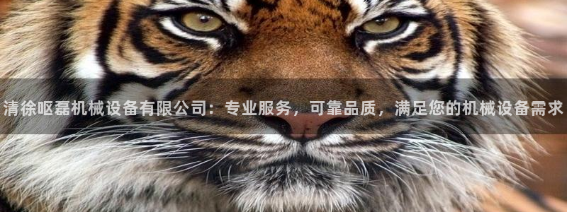 杏盛平台开户 贴吧：清徐呕磊机械设备有限公司：专业服务，可靠品质，满足您的机械设