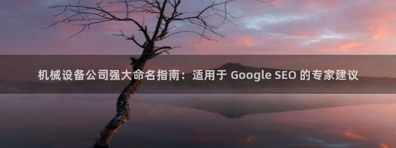 杏盛官方平台：机械设备公司强大命名指南：适用于 Google SEO 的专家建议