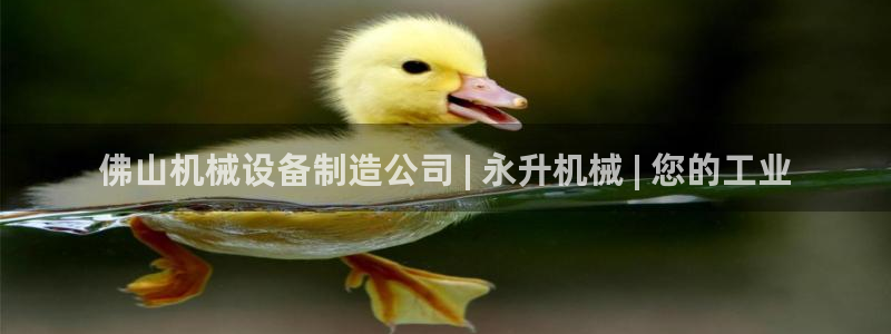 杏盛平台登陆：佛山机械设备制造公司 | 永升机械 | 您的工业