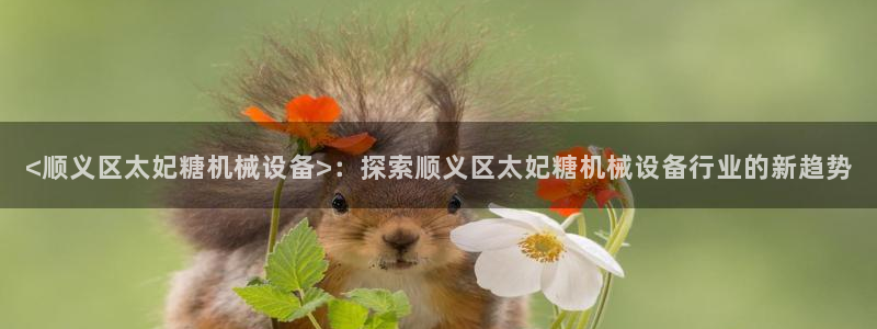 杏盛平台开户：<顺义区太妃糖机械设备>：探索顺义区太妃糖机械设备行业的新趋势