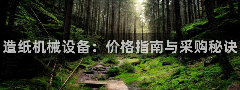 杏盛主管：造纸机械设备：价格指南与采购秘诀