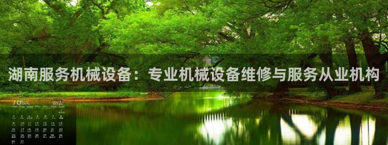 杏盛主管：湖南服务机械设备：专业机械设备维修与服务从业机构