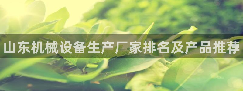 杏盛乐岳35994誓：山东机械设备生产厂家排名及产品推荐