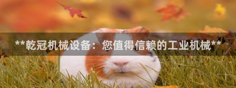杏盛平台主管：**乾冠机械设备：您值得信赖的工业机械**