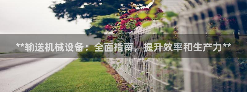 杏盛平台登陆地址：**输送机械设备：全面指南，提升效率和生产力**