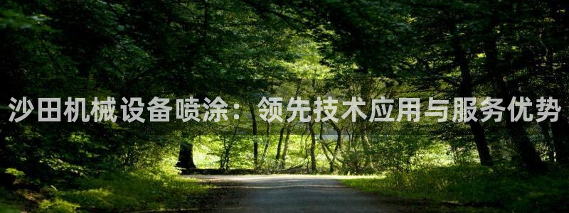 杏盛平台代理注册：沙田机械设备喷涂：领先技术应用与服务优势