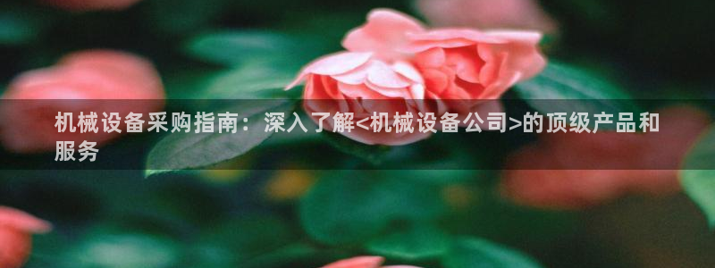 杏盛平台代理注册：机械设备采购指南：深入了解<机械设备公司>的顶级产品和
服务