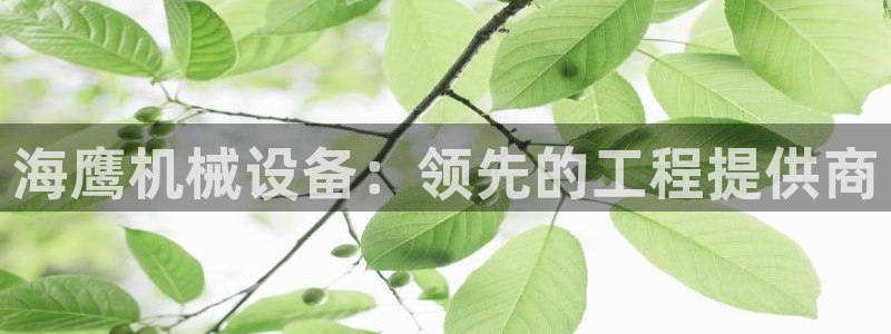 杏盛官网登录：海鹰机械设备：领先的工程提供商