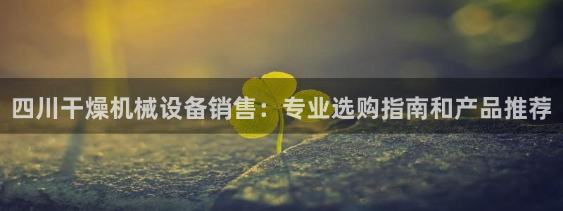 杏盛注册登录：四川干燥机械设备销售：专业选购指南和产品推荐