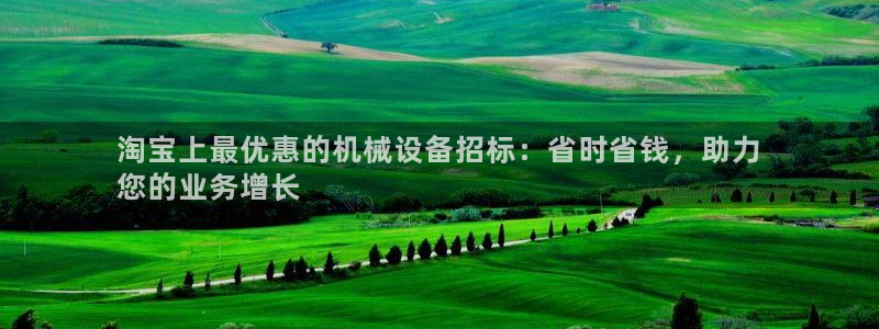 杏盛主管：淘宝上最优惠的机械设备招标：省时省钱，助力
您的业务增长