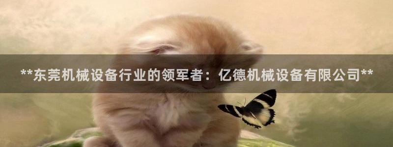 杏盛平台登录：**东莞机械设备行业的领军者：亿德机械设备有限公司**