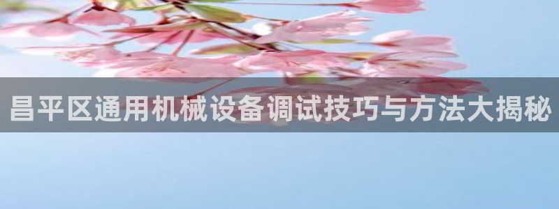 杏盛app下载：昌平区通用机械设备调试技巧与方法大揭秘