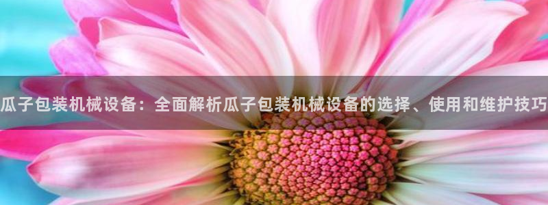 杏盛平台：瓜子包装机械设备：全面解析瓜子包装机械设备的选择、使用和维护技巧