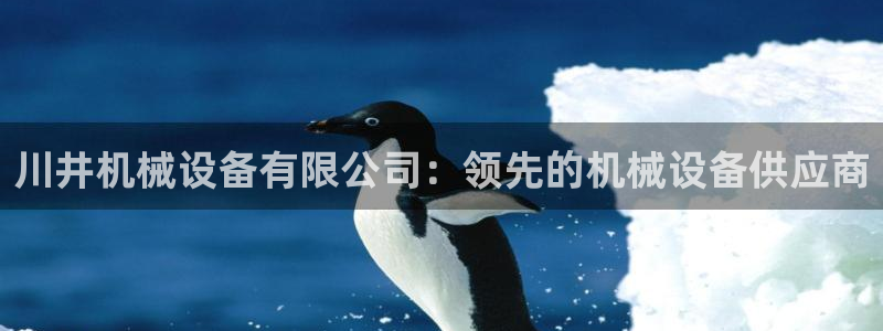 杏盛官网：川井机械设备有限公司：领先的机械设备供应商