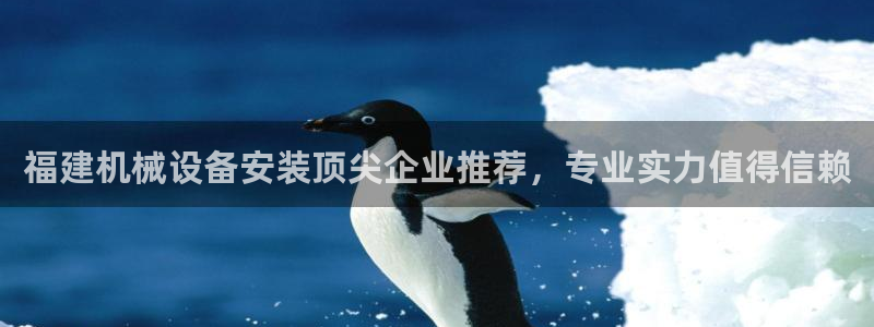 杏盛主管：福建机械设备安装顶尖企业推荐，专业实力值得信赖