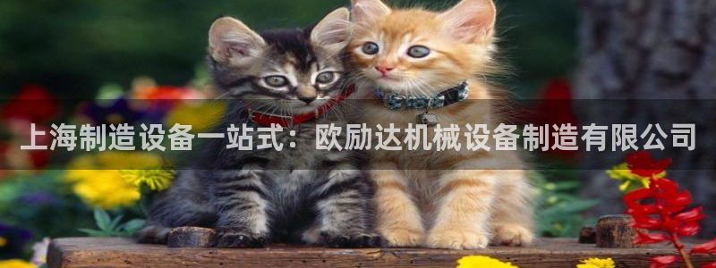 杏盛官网登录：上海制造设备一站式：欧励达机械设备制造有限公司