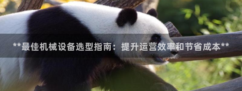 杏盛平台注册登录：**最佳机械设备选型指南：提升运营效率和节省成本**