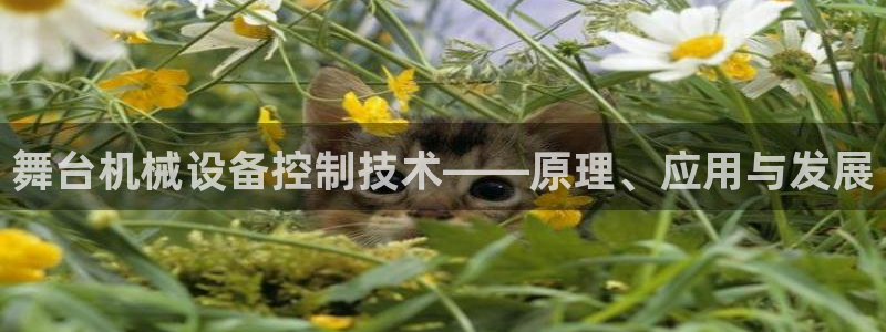 杏盛平台注册：舞台机械设备控制技术——原
