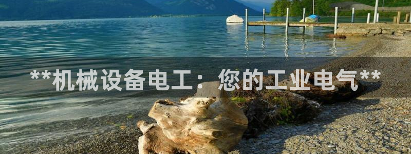 杏盛平台开户 贴吧：**机械设备电工：您的工业电气**