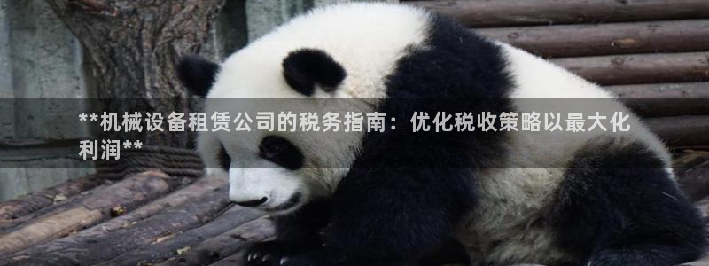 杏盛平台官网：**机械设备租赁公司的税务指南：优化税收策略以最大化
利润**