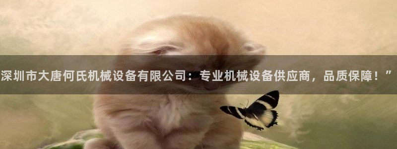杏盛平台注册：深圳市大唐何氏机械设备有限公司：专业机械设备供应商，品质保障！”