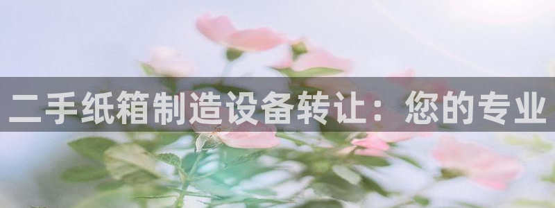杏盛app下载：二手纸箱制造设备转让：您的专业